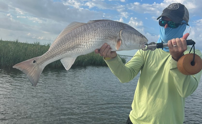 Redfish caught in Tampa
