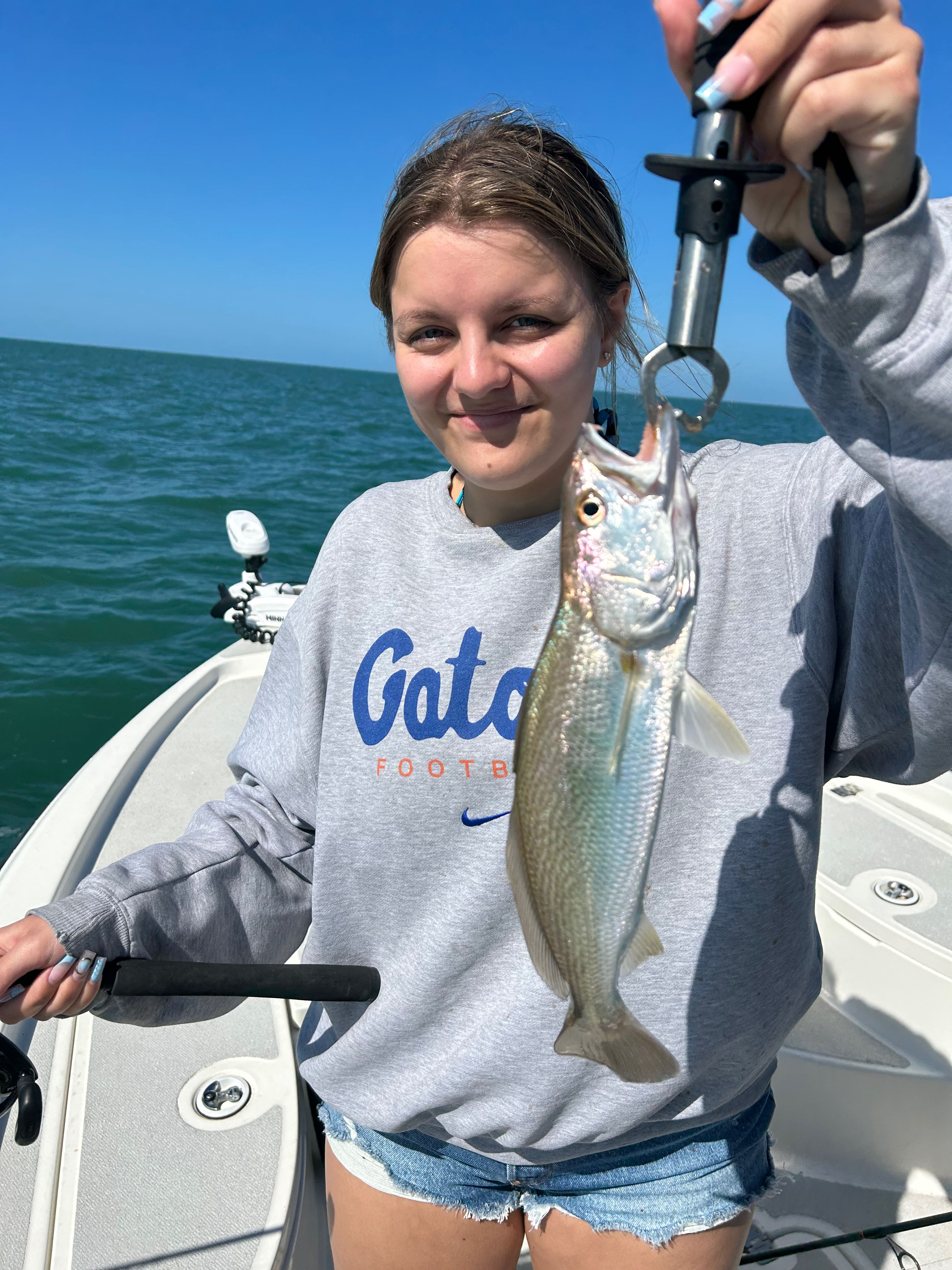 Squeteague fish caught while fishing in Crystal River FL