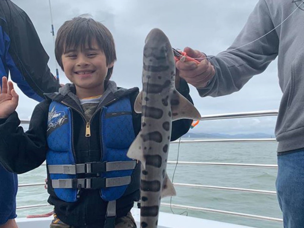 Leopard shark caught in CA