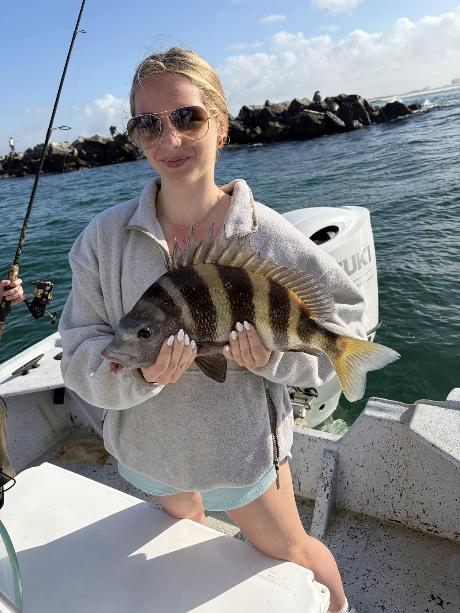 Sheepshead fish caught while fishing in Orange Beach AL