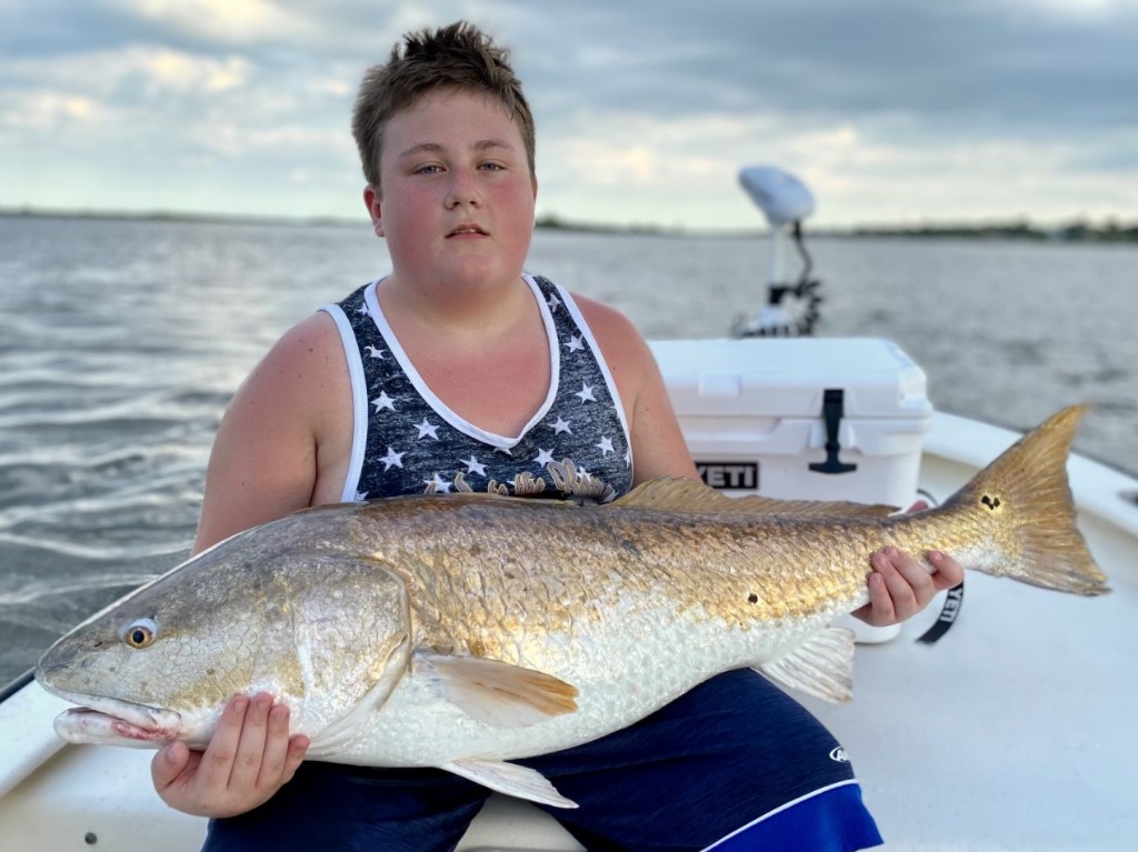 Redfish measuring 31 inches caught in Edgewater