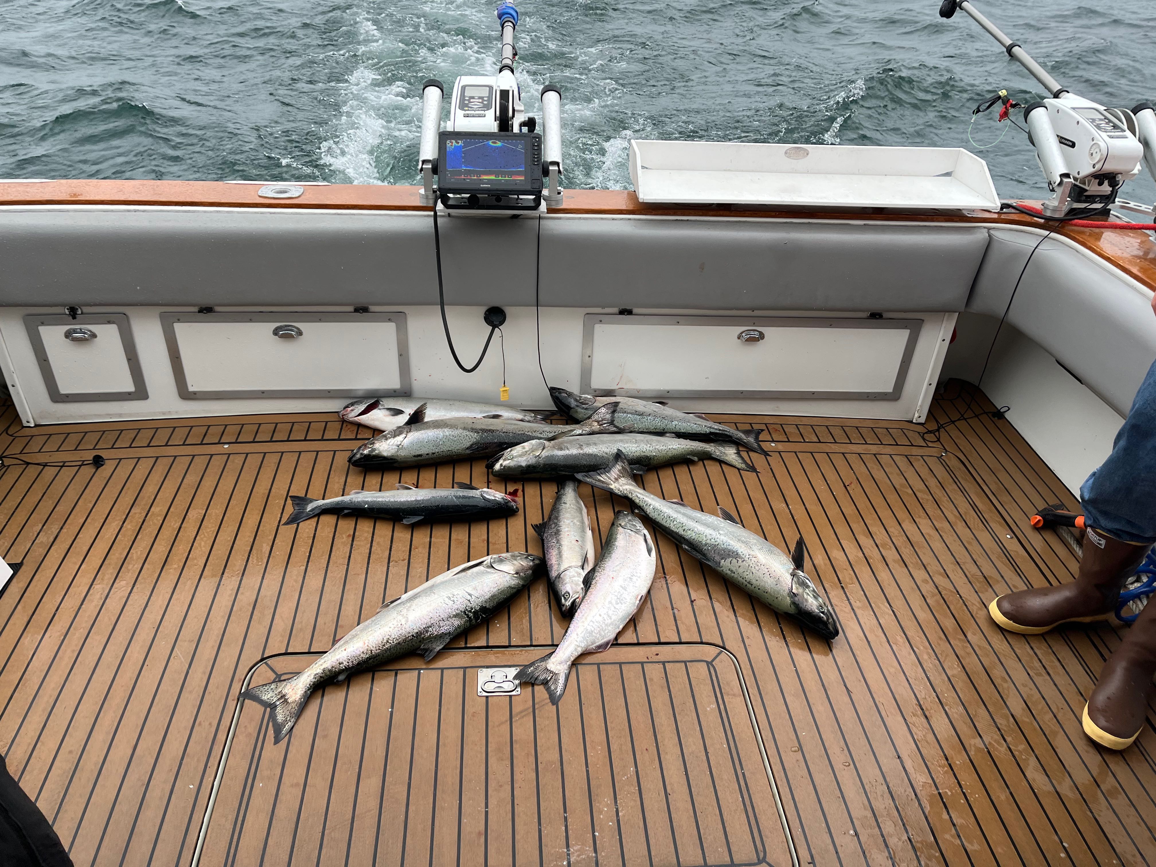 Multiple salmon species caught fishing in Sodus Point NY displayed on boat deck with fishing equipment