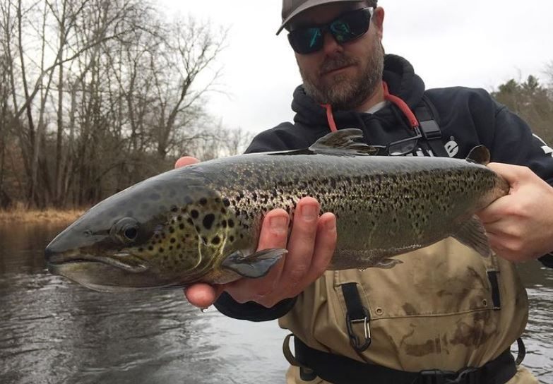 A lone angler fishing in Bloomfield