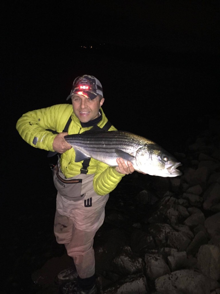 Striped bass caught by angler in CT