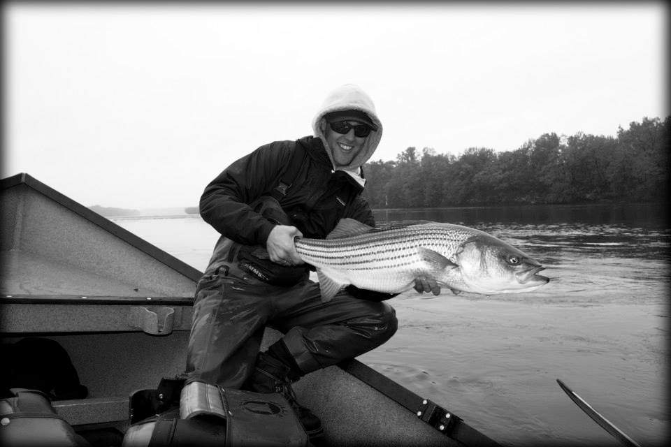 Striped bass caught in CT