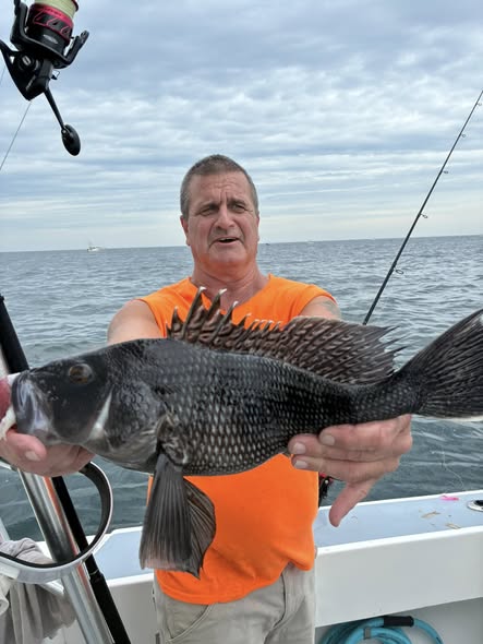 Black sea bass caught while fishing in Lewes DE waters