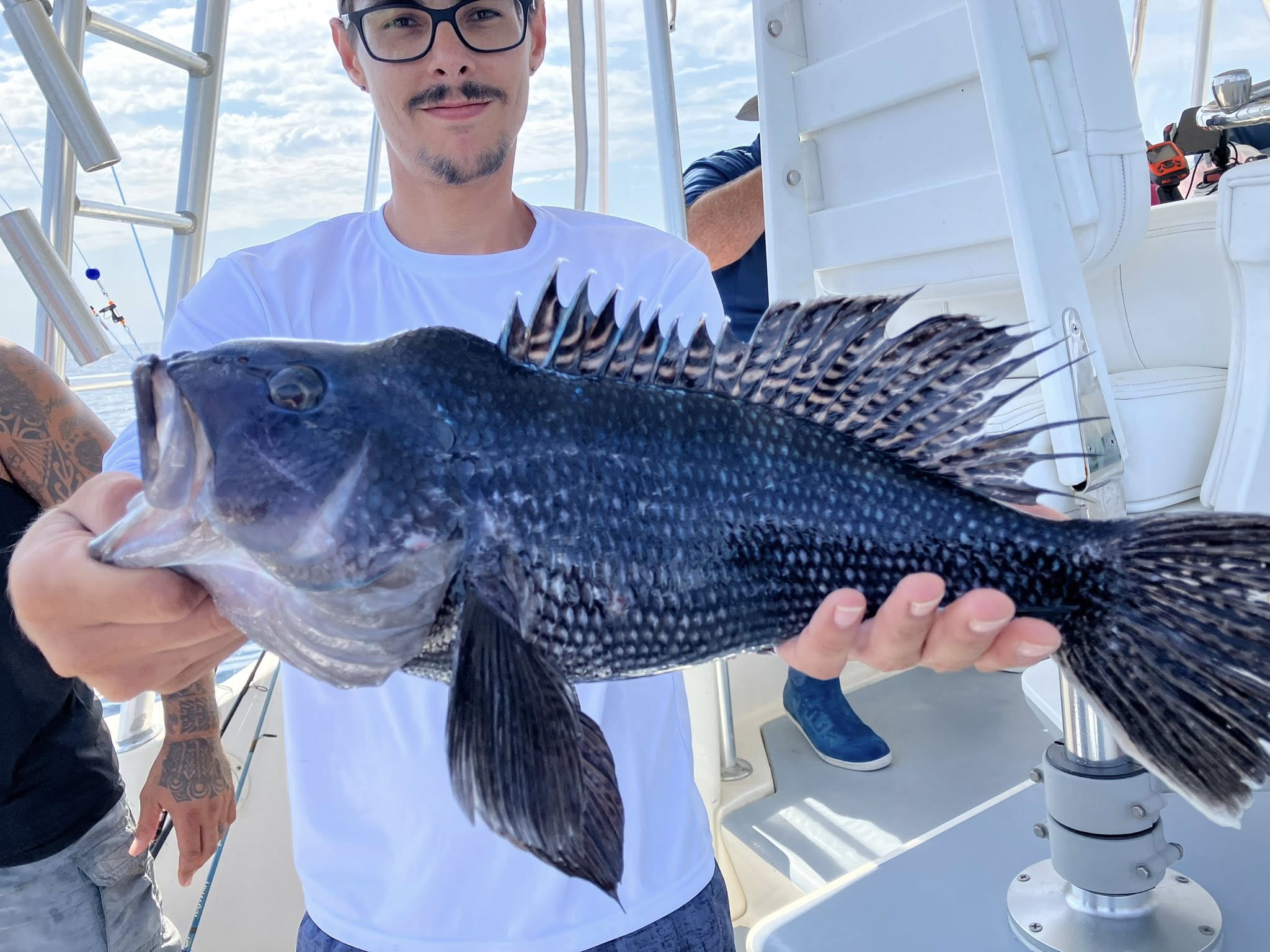 Black sea bass caught fishing in Lewes Delaware waters