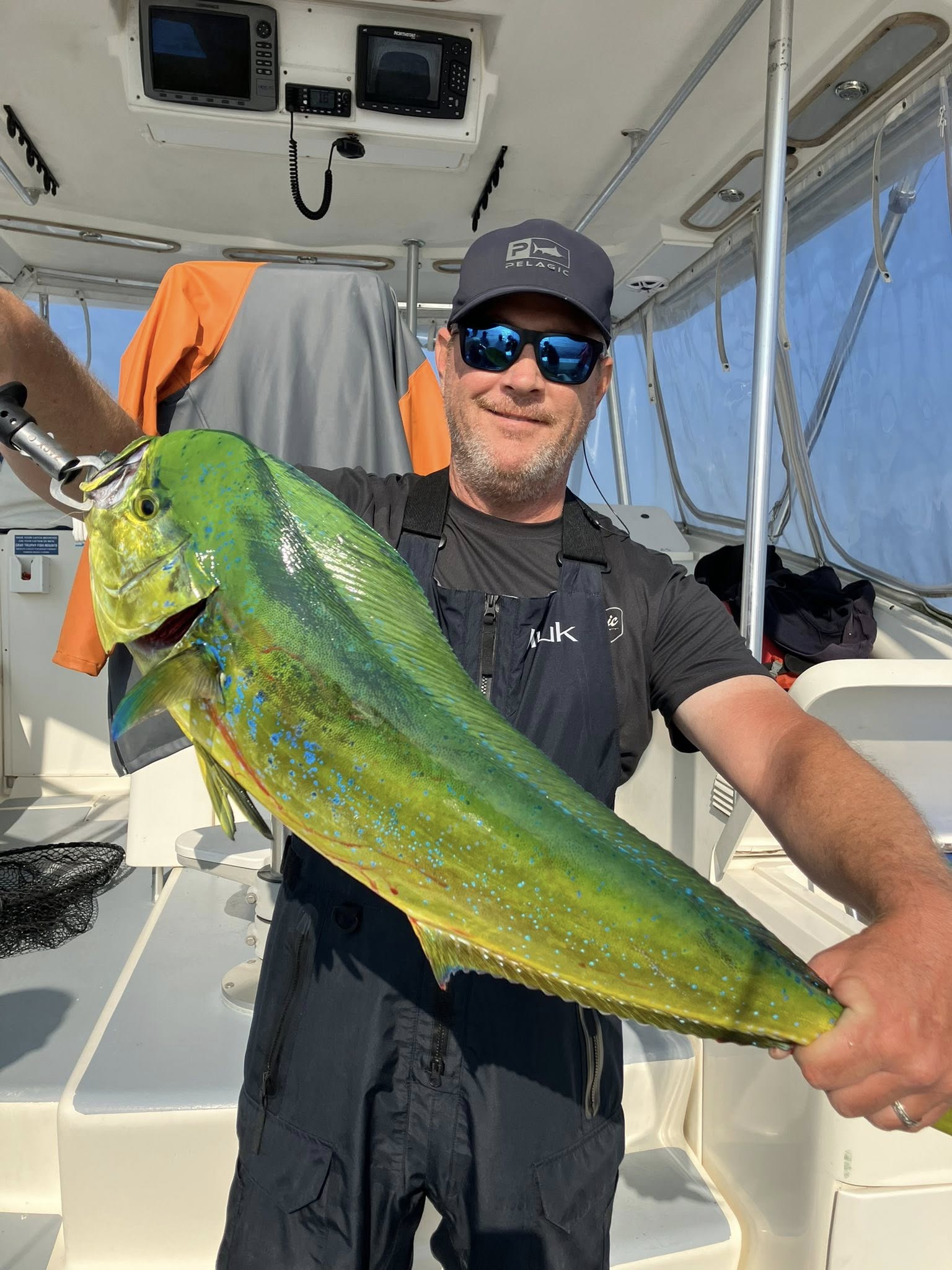 Freshly caught mahi mahi displayed on fishing boat deck in Lewes DE