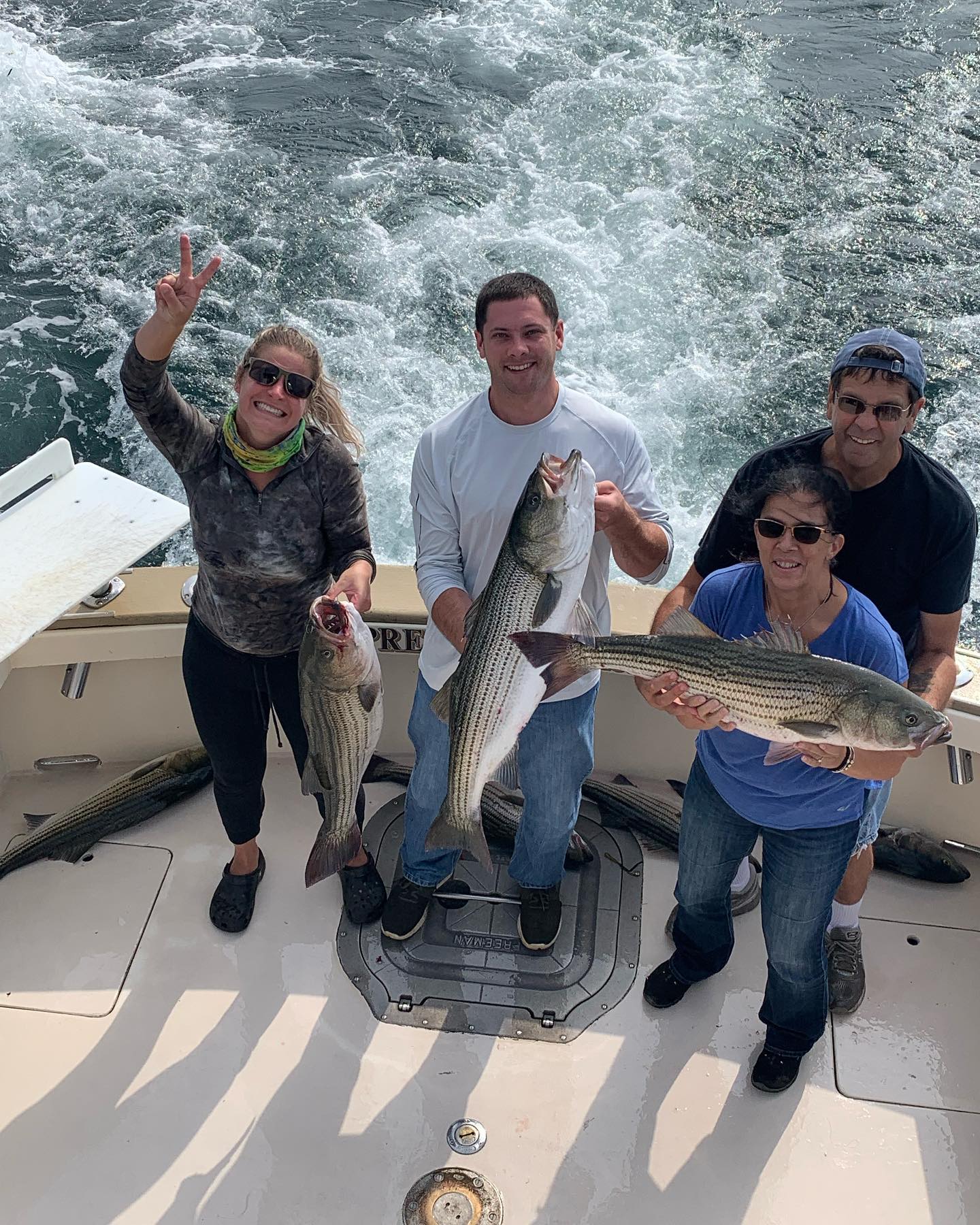 Three striped bass caught while fishing in Connecticut
