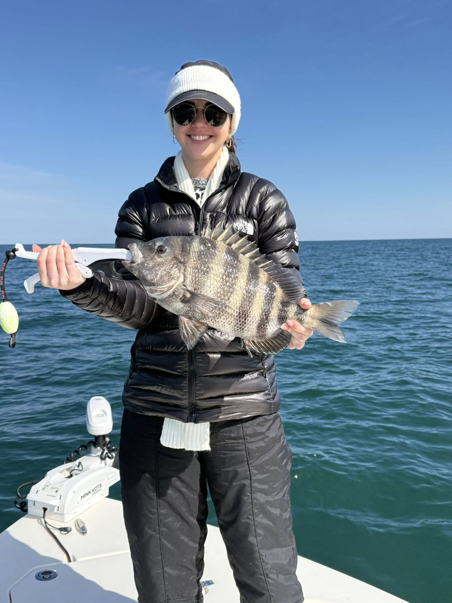 Sheepshead fish caught while fishing in Brunswick GA