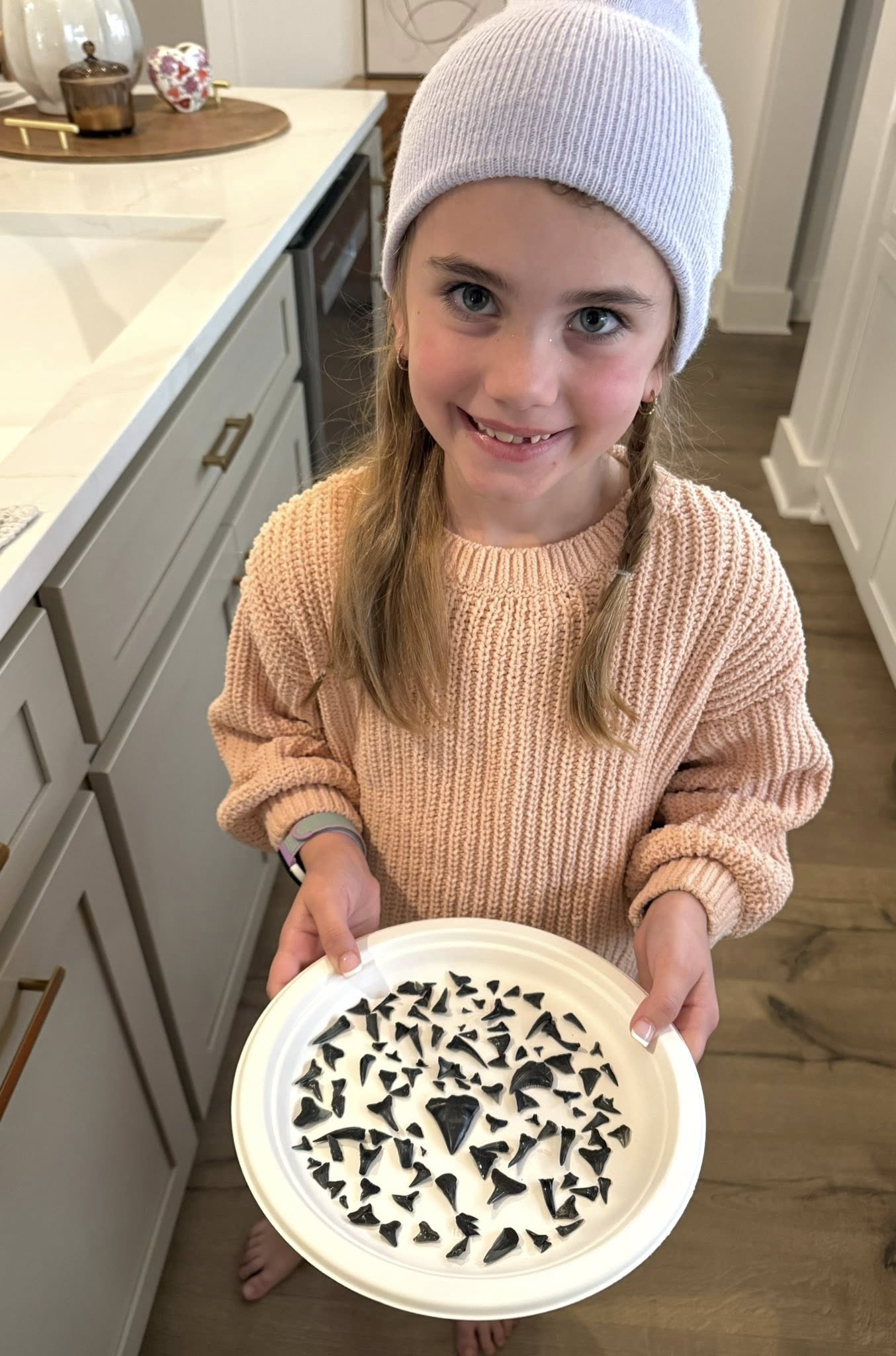 Plate of shark teeth collected from fishing in Brunswick GA