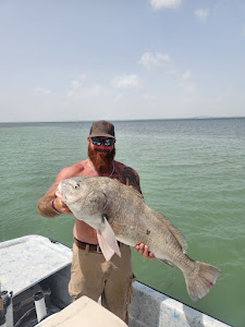 Catch of the day: a 29-inch black drum fish in Port Isabel
