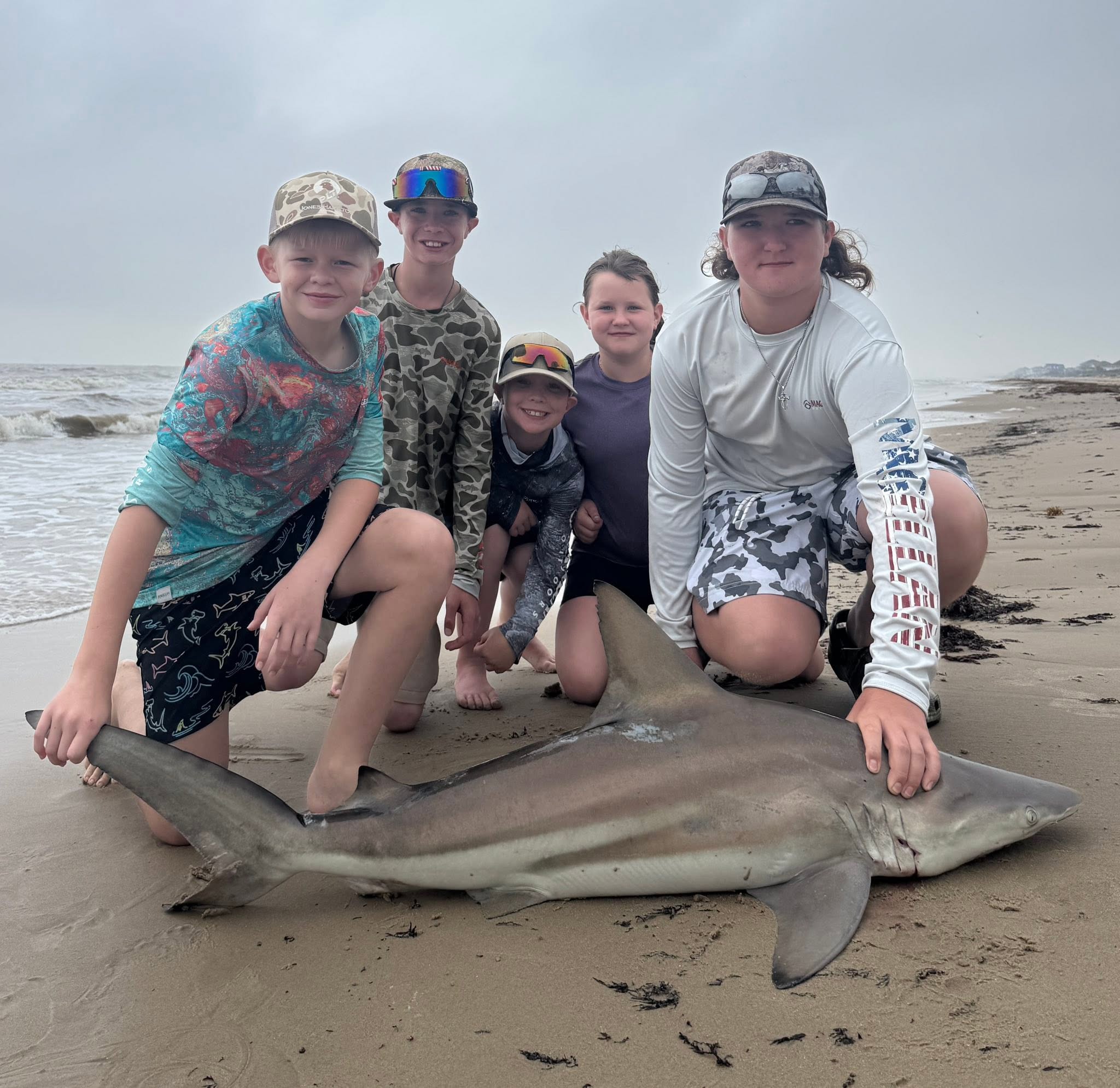 Blacktip shark caught fishing on Bolivar Peninsula TX beach