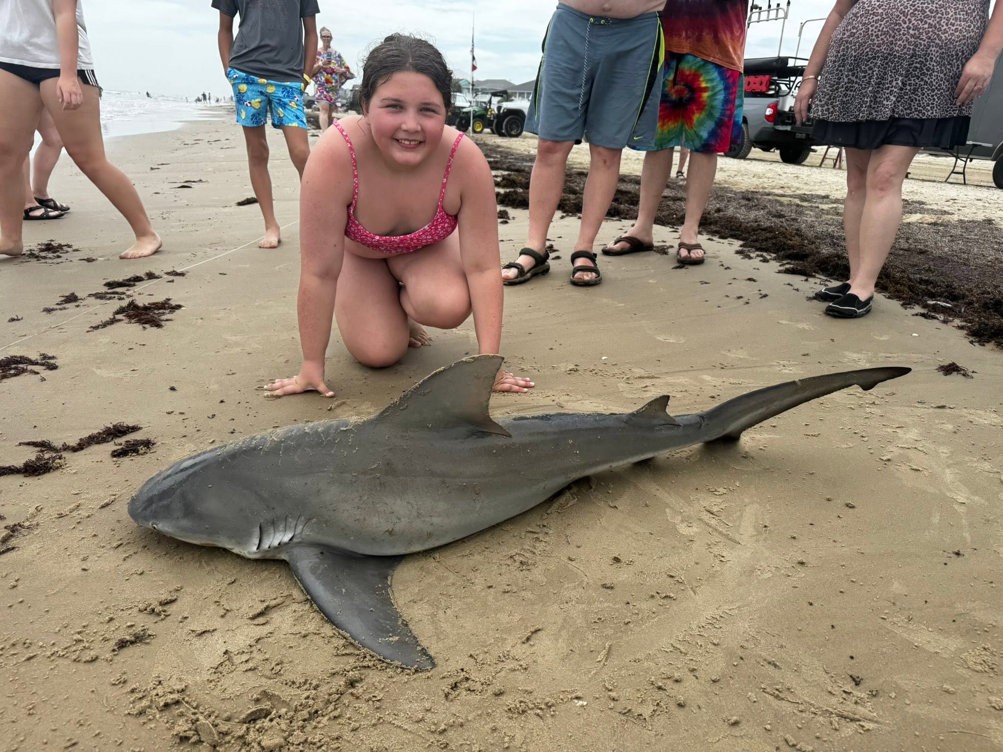 Bull shark caught fishing on Bolivar Peninsula TX beach with onlookers gathered around