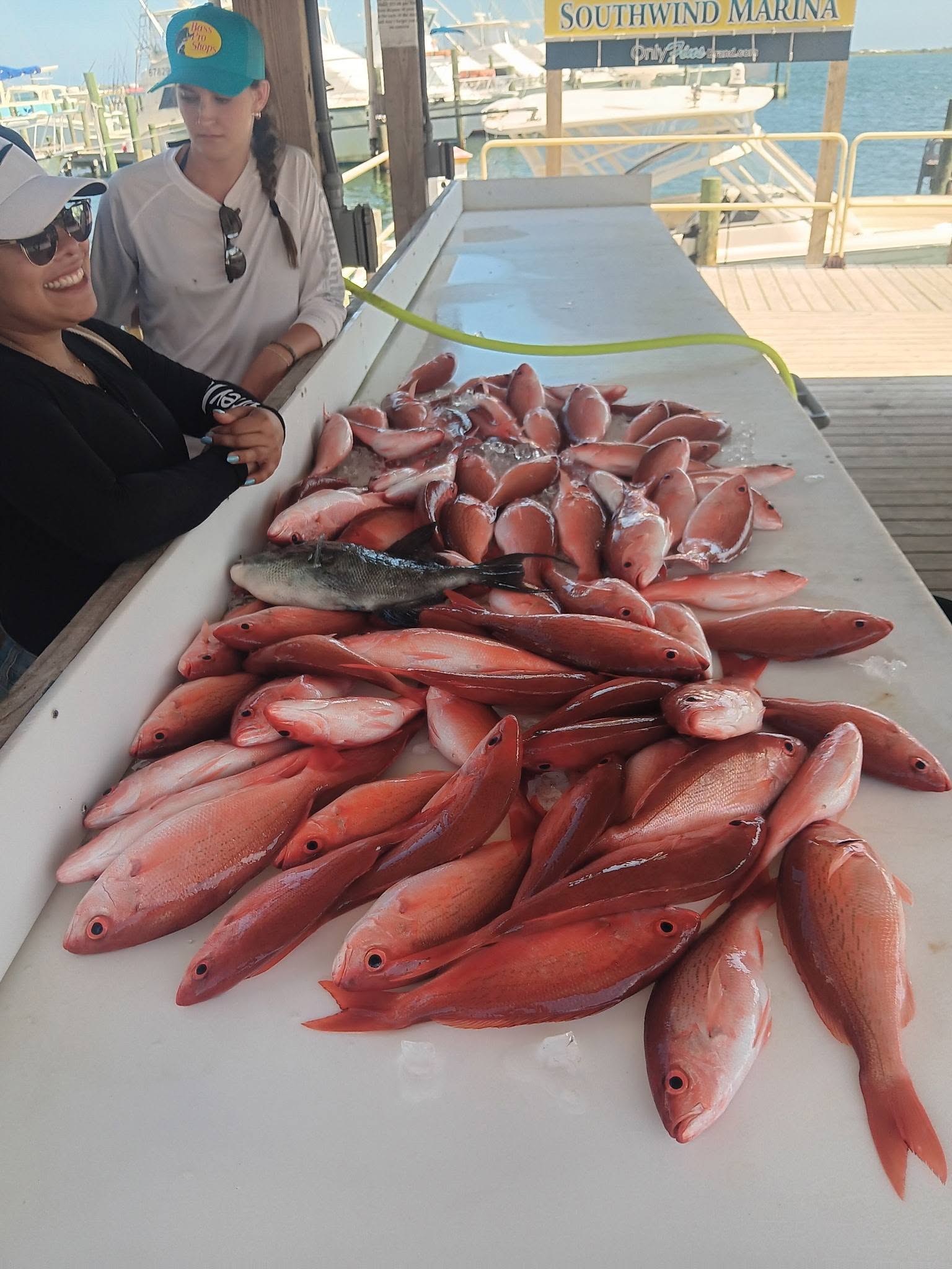 Fresh caught red snapper displayed on fishing boat deck at Pensacola FL marina