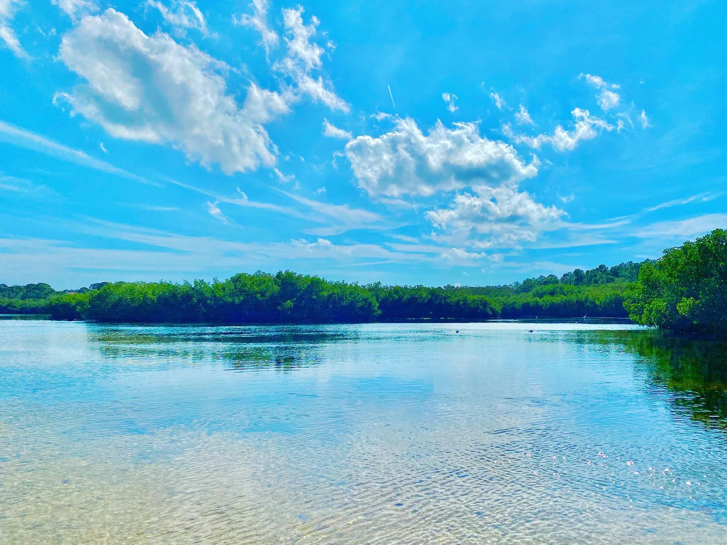 Fishing in FL