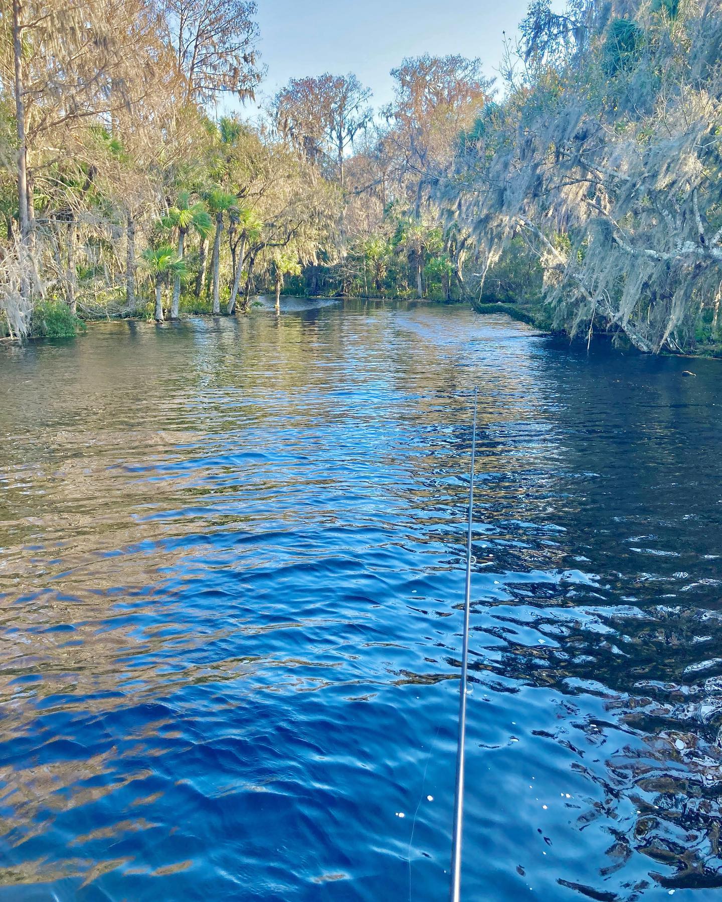Fishing adventure in Florida