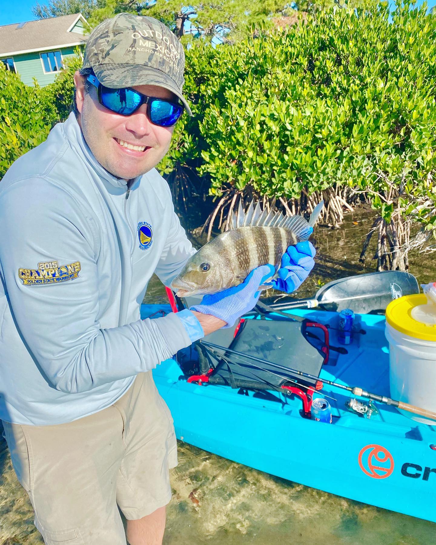 Sheepshead fish caught in Clearwater