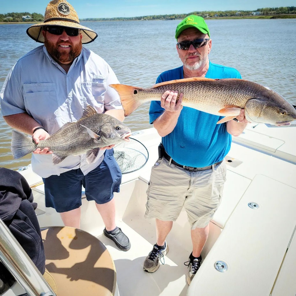 Two Black Drum and Redfish caught in Mount Pleasant
