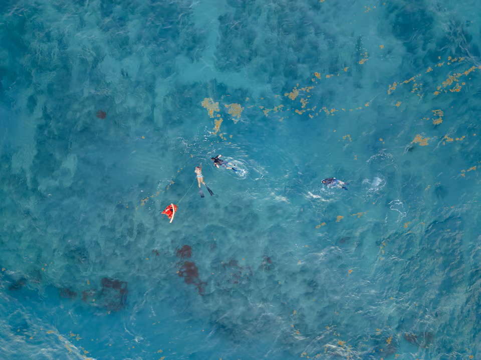Shore snorkeling tour group exploring coral reefs in Palm Beach County Florida waters