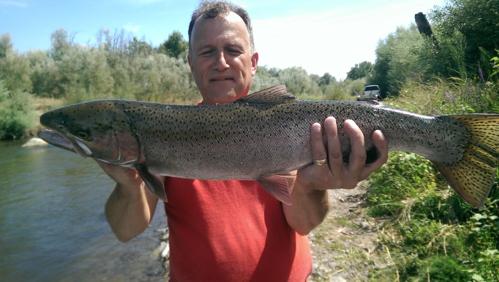 A single rainbow trout caught fishing in OR