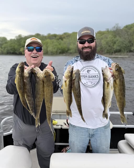Successful walleye fishing trip in Stillwater MN showing multiple caught fish on boat