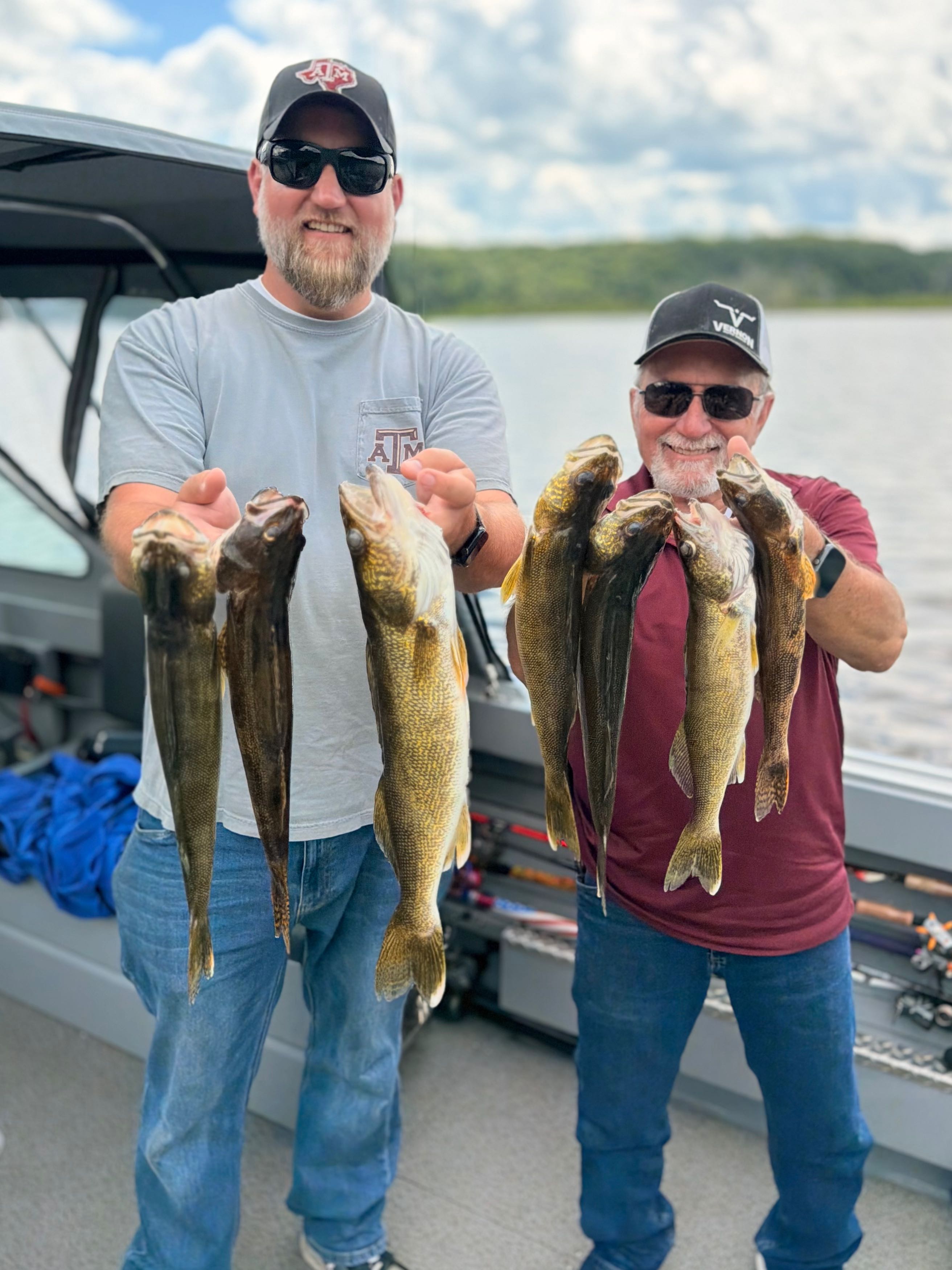 Successful walleye and sauger fishing trip in Stillwater MN showing fresh caught fish