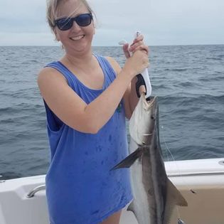 Cobia fish caught on a fishing tour in Savannah