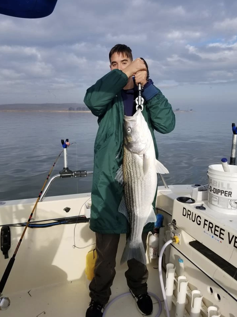 Striped bass caught in CA