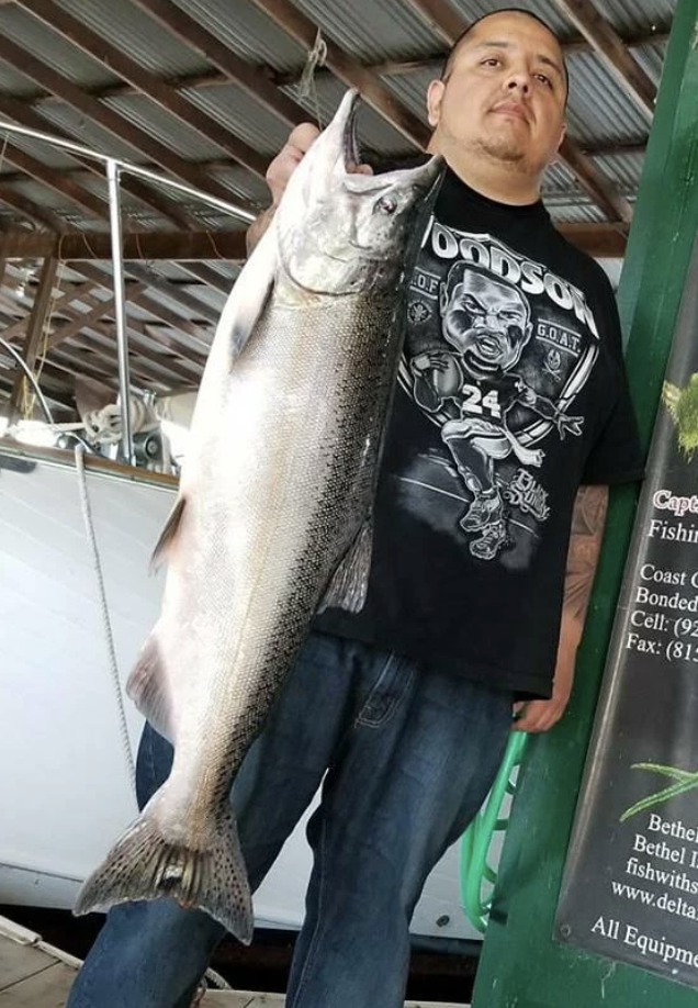 A lone pink salmon caught at Bethel Island