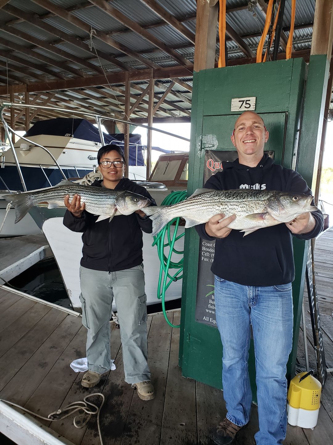Two striped bass caught in CA