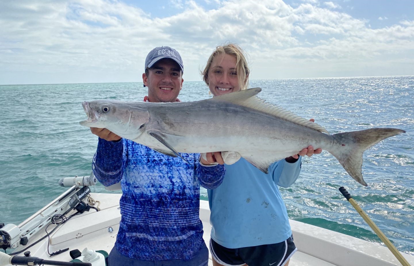 A large cobia fish caught off the coast of Florida during a fishing tour