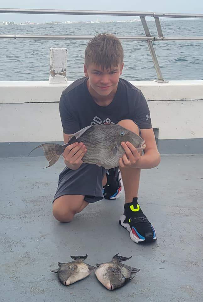 Angler holding a grey triggerfish caught in Wildwood