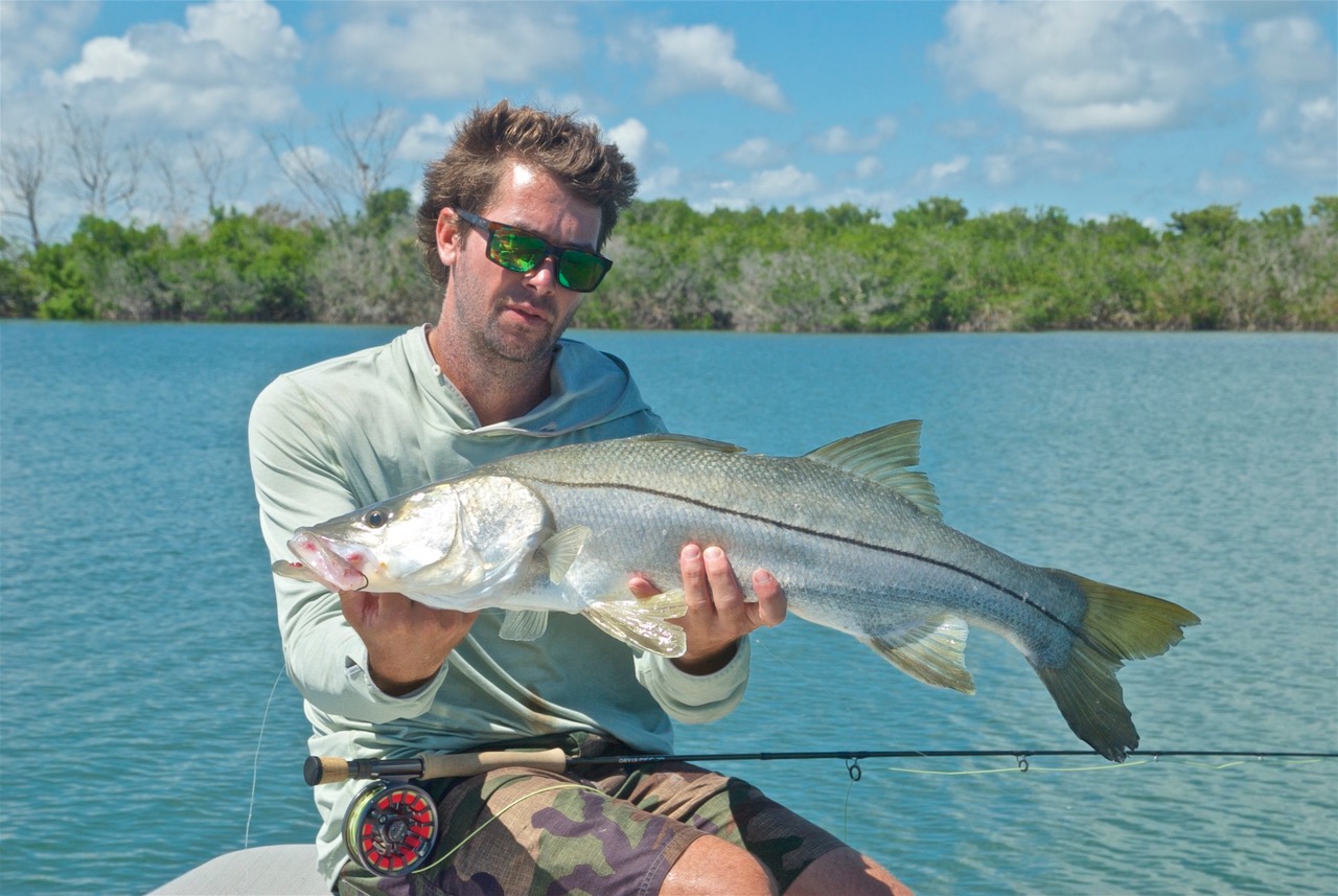 Snook fish caught in Satellite Beach