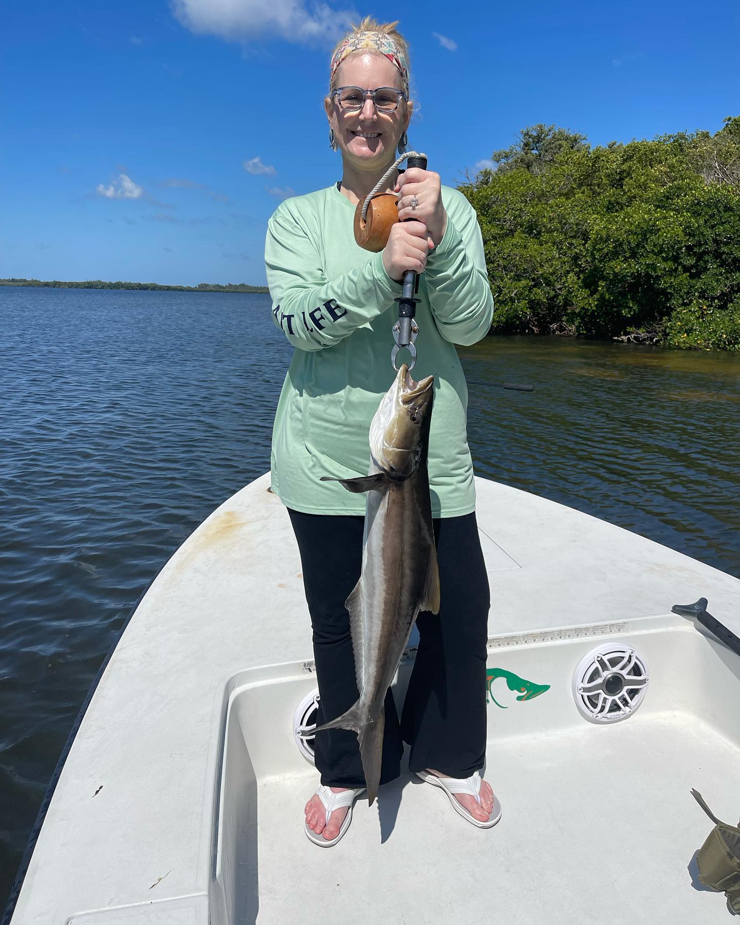 A large cobia fish caught while fishing in Florida