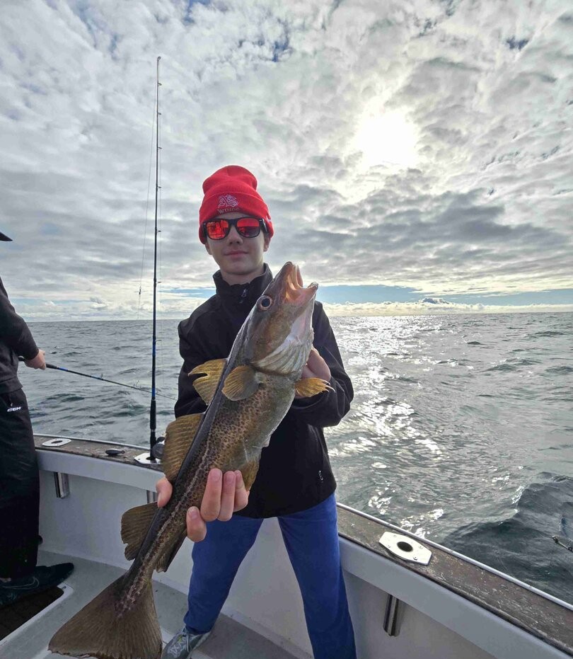 Atlantic cod caught while fishing in Gloucester MA waters