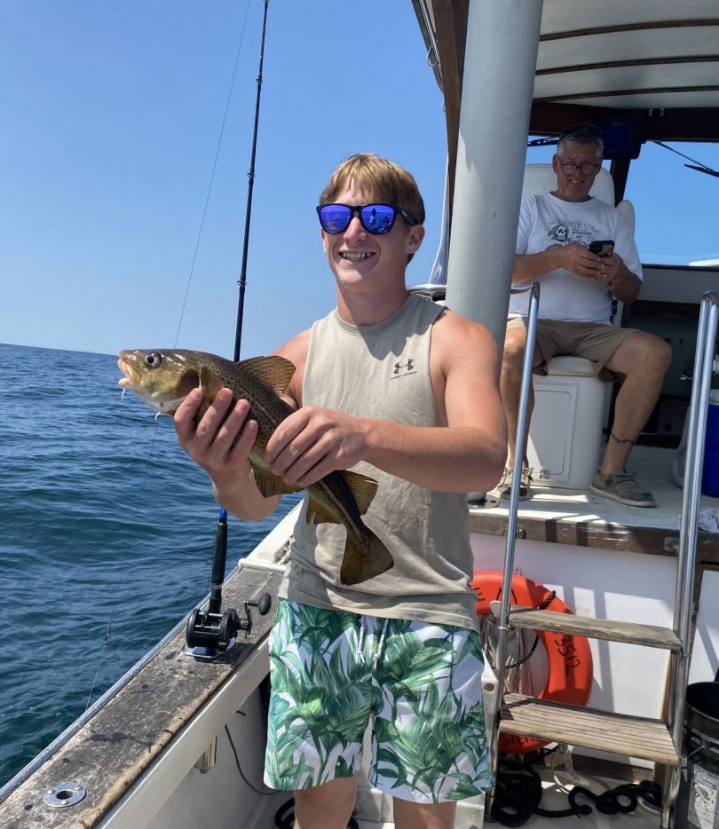 Freshly caught fish being held on fishing boat in Gloucester MA waters
