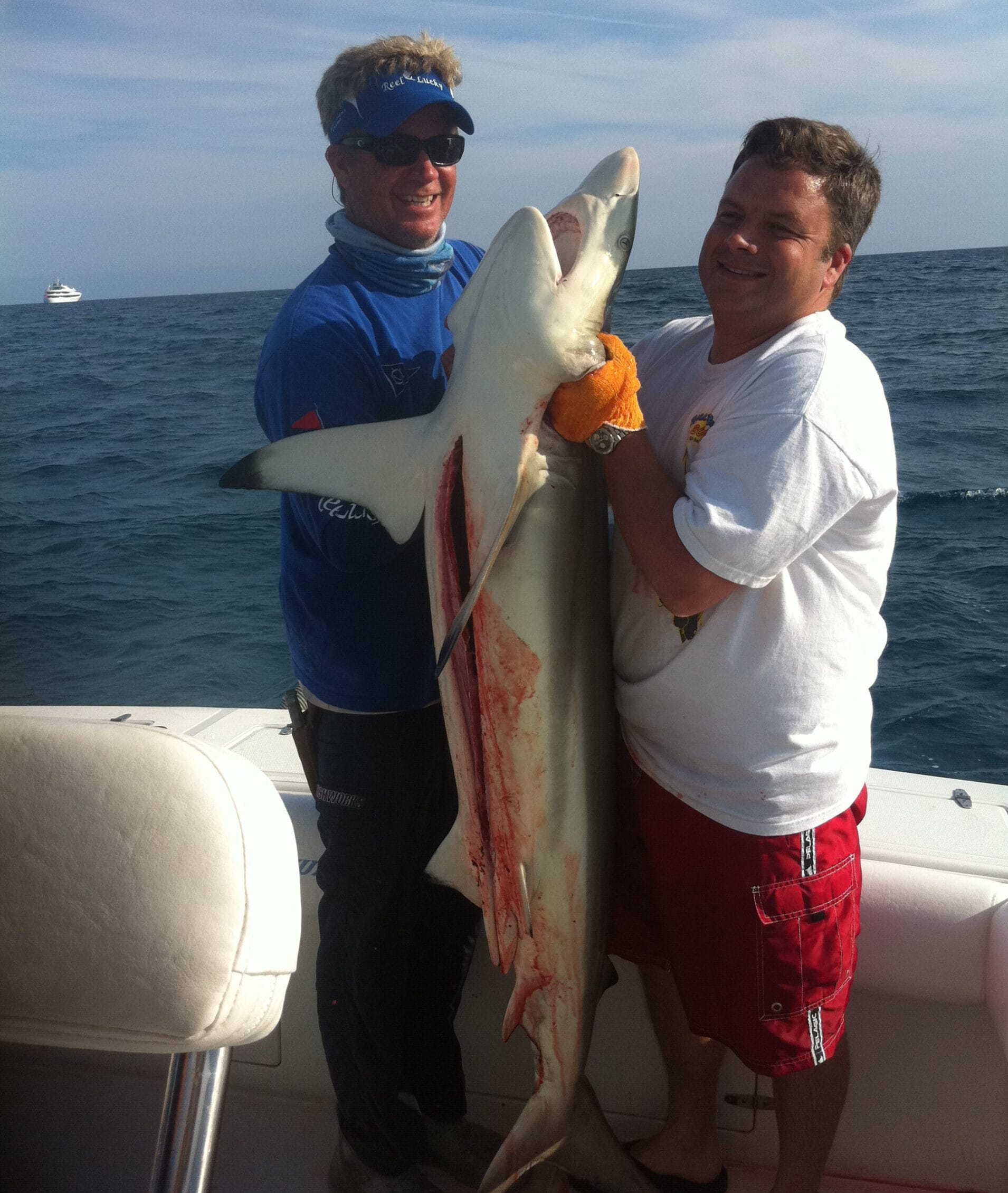 Blacktip shark caught during fishing charter in West Palm Beach FL