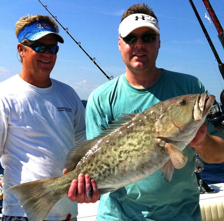 Gag grouper fishing catch on boat in West Palm Beach Florida