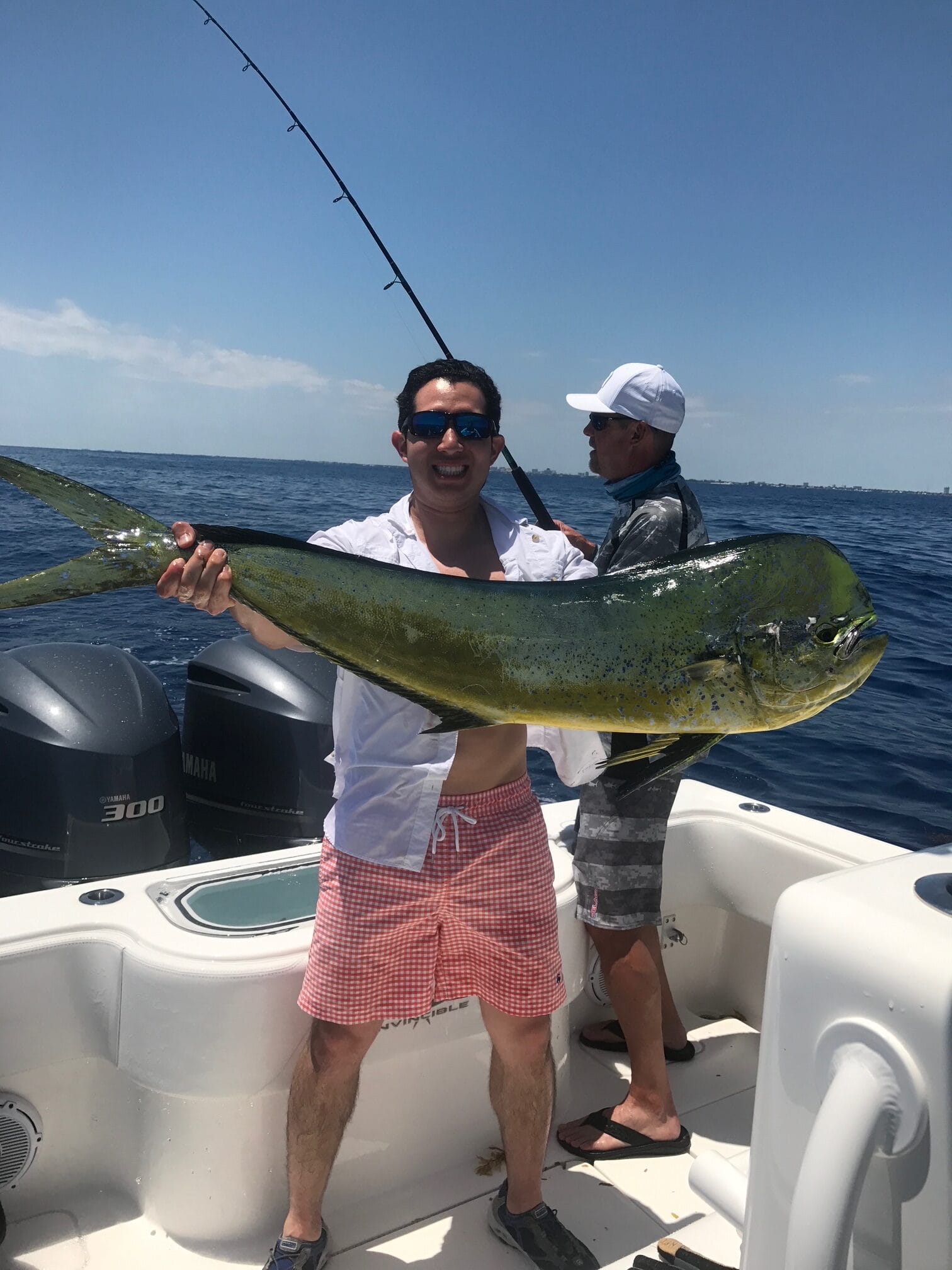 Mahi mahi catch displayed on fishing boat in West Palm Beach FL