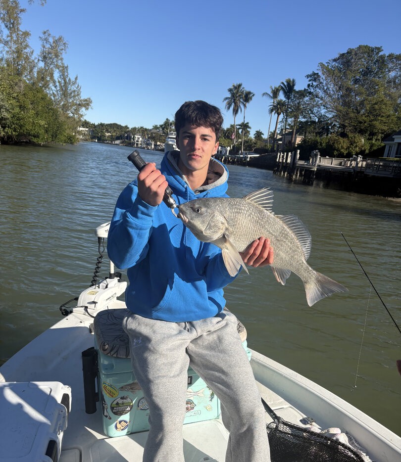 Black drum fish caught while fishing in Naples