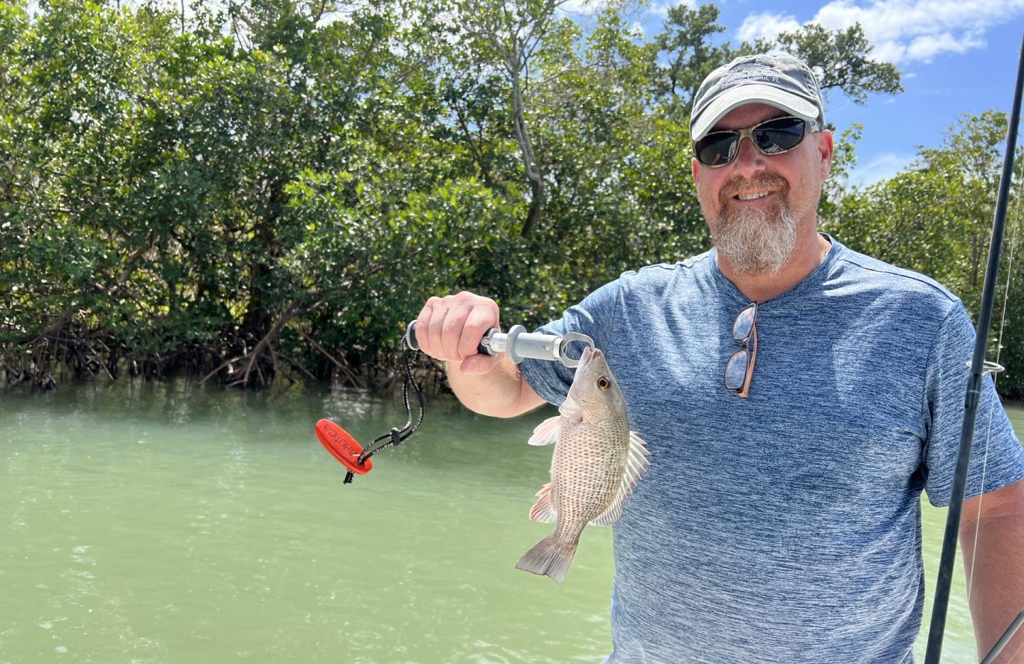 Fisherman catches a grey snapper in Naples