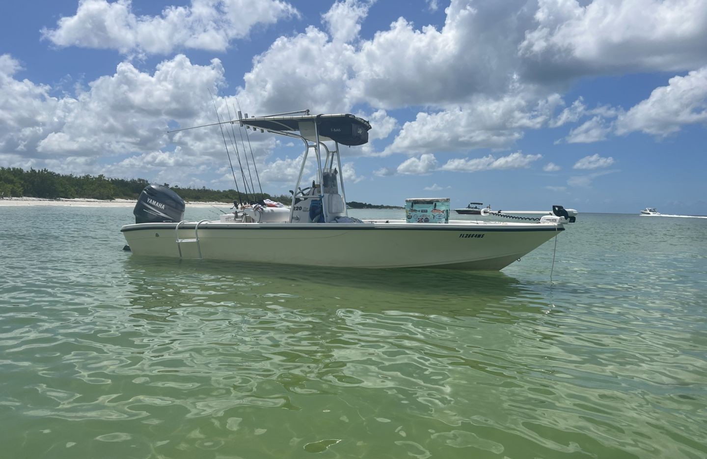 Carolina Skiff