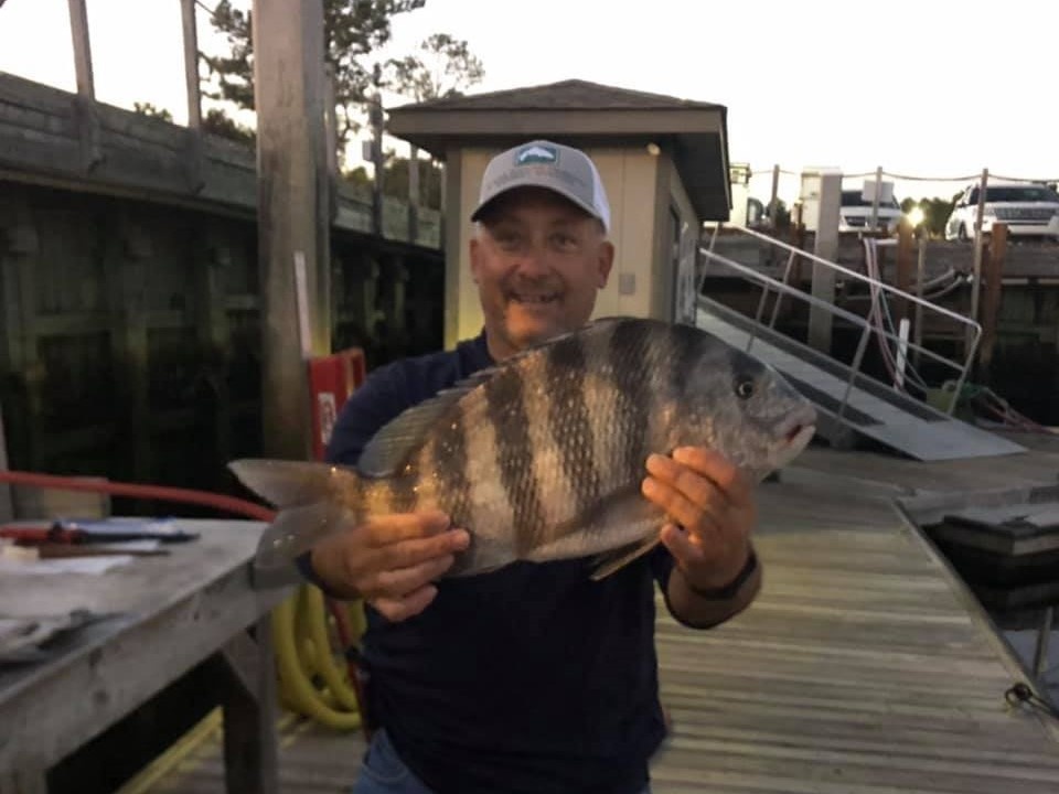 A 22-inch sheepshead fish caught in North Myrtle Beach