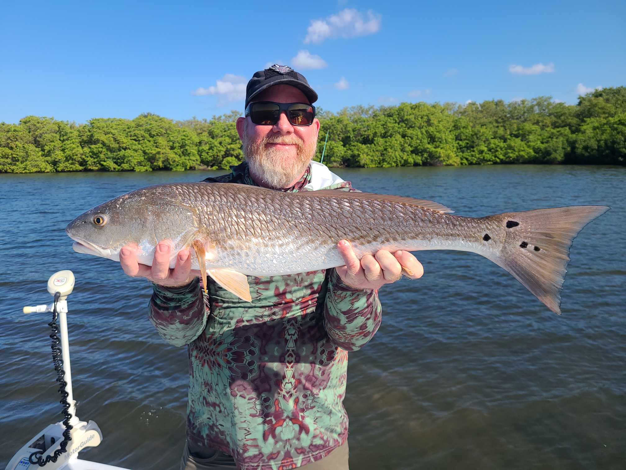 Redfish caught in Tampa, Florida