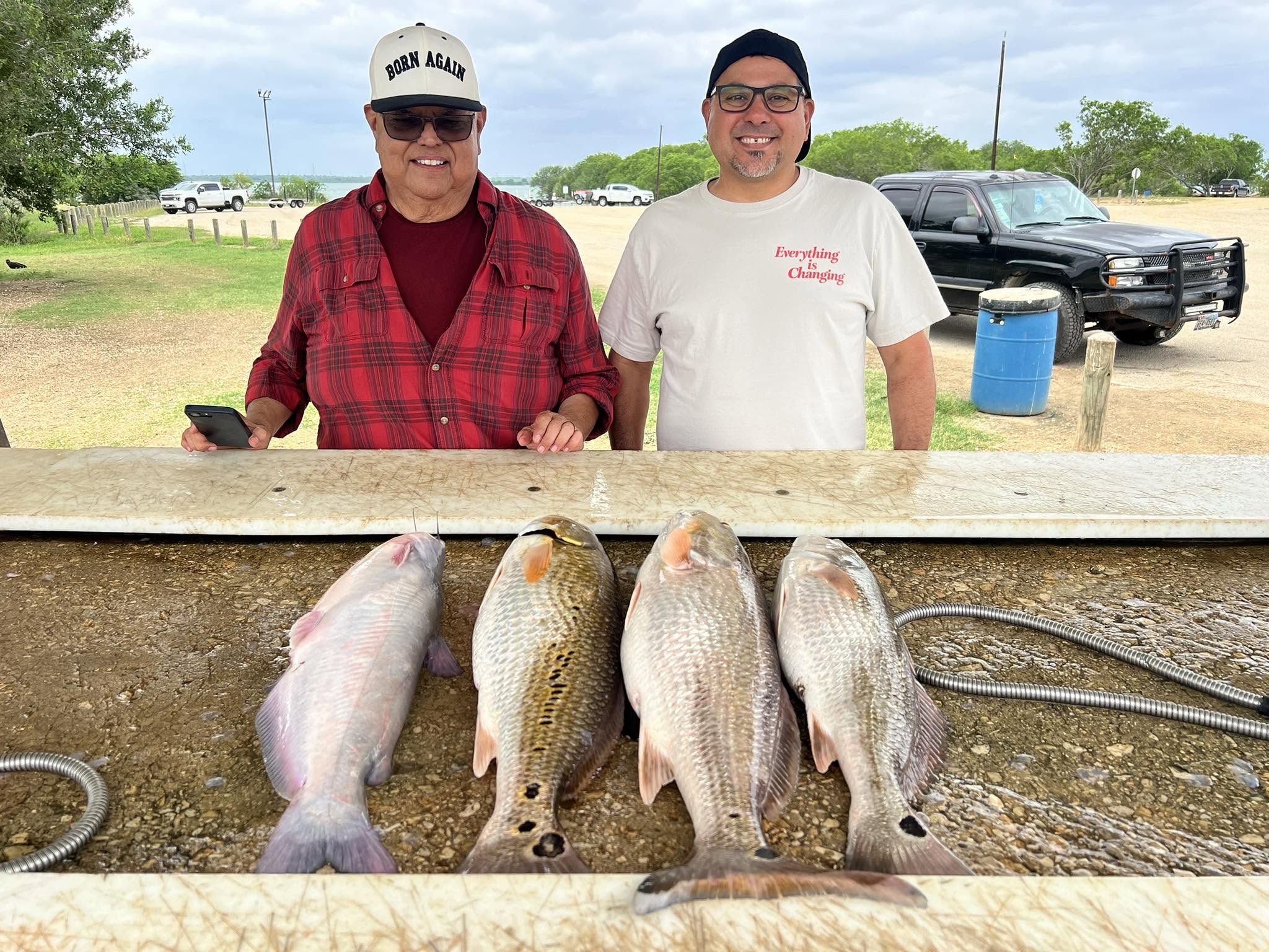 Four large fish including blue catfish and redfish displayed on cleaning table at Elmendorf TX fishing location