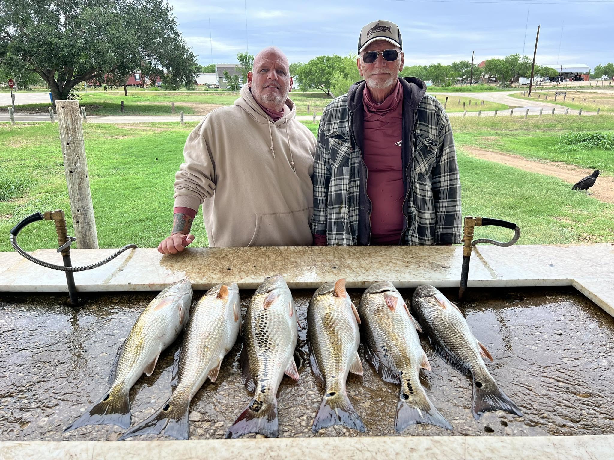 Six redfish displayed on cleaning station after successful fishing trip in Elmendorf Texas