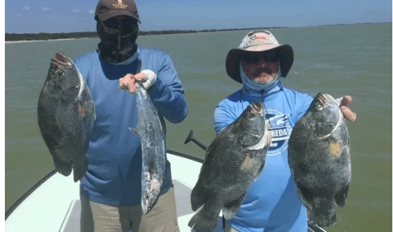 4 fish caught in FL