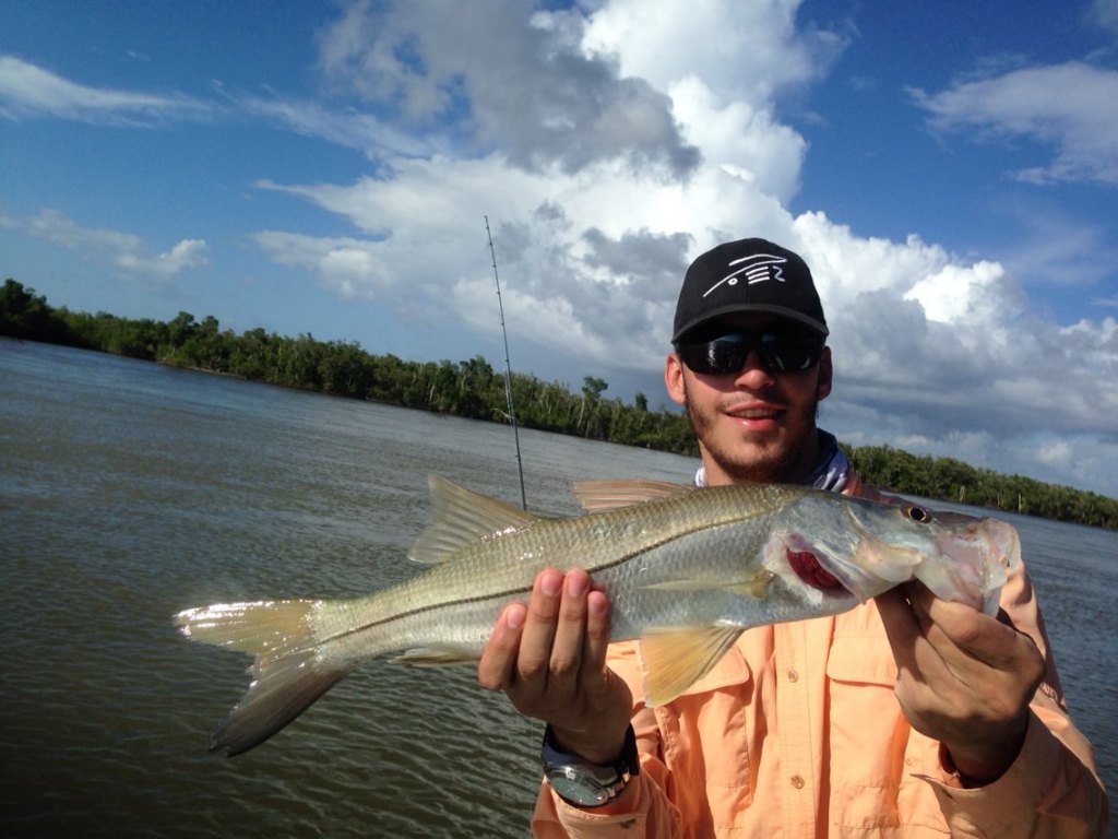 Snook, a large fish caught in Homestead