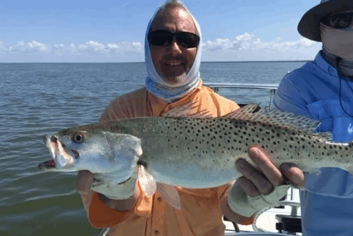 Spotted Weakfish, 27 inches, caught in FL